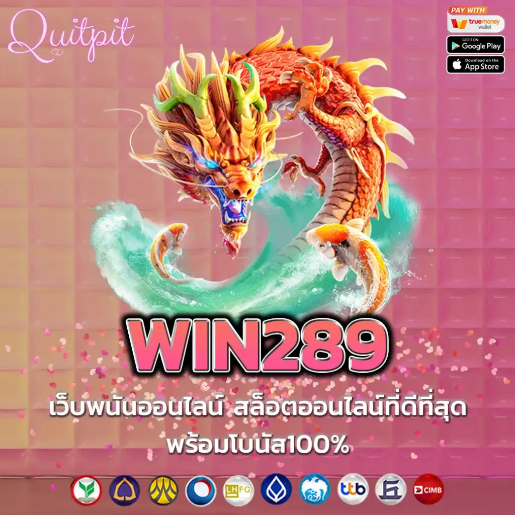 WIN289